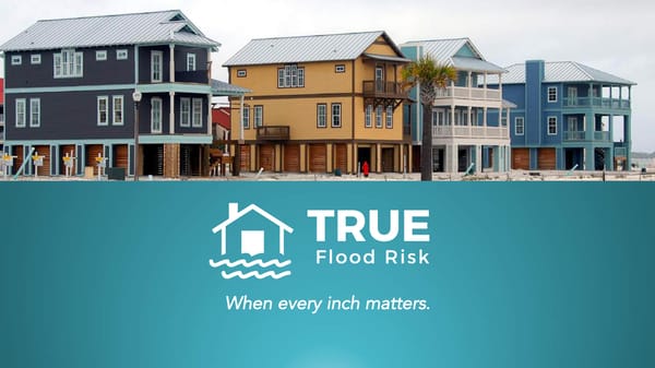 True Flood Risk - Page 1